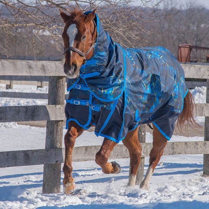 Canadian Horsewear Coolmax Liner Rainsheet with Removable Neck, Pandor