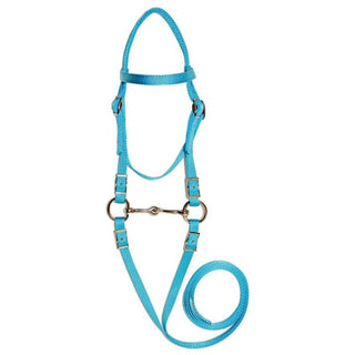 Triple E Miniature Bridle with Bit and Reins, Turquoise