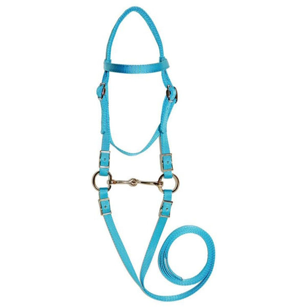 Triple E Miniature Bridle with Bit and Reins, Turquoise