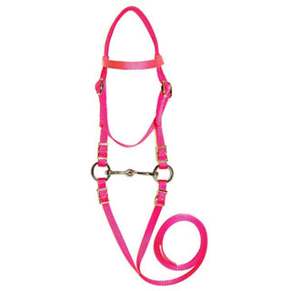 Triple E Miniature Bridle with Bit & Reins, Pink