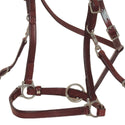 Circle Y Trail Halter Bridle