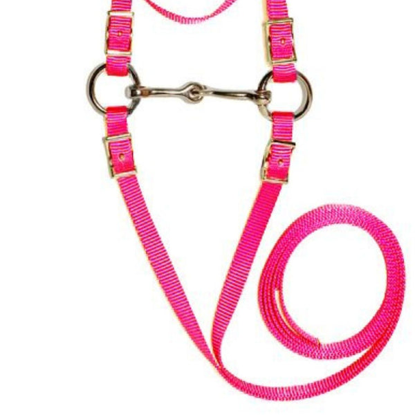 Triple E Miniature Bridle with Bit & Reins, Pink