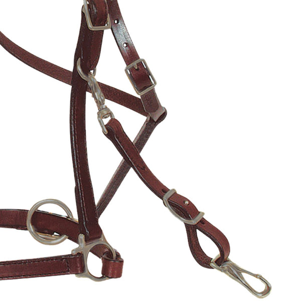 Circle Y Trail Halter Bridle