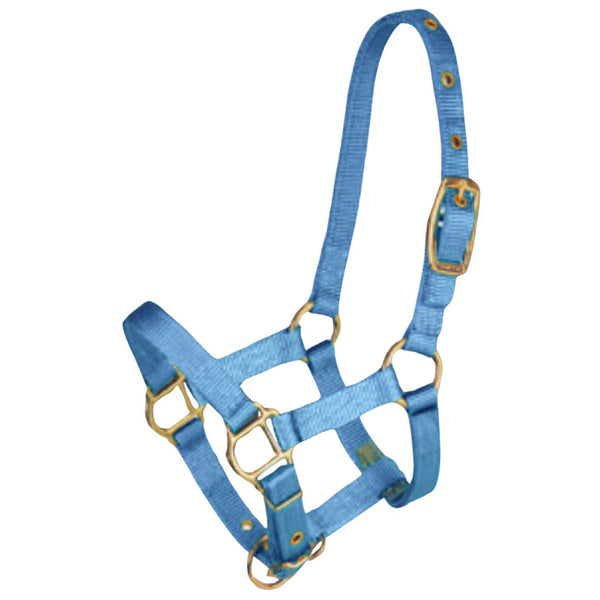 Hamilton Miniature Weanling Halter, Berry Blue