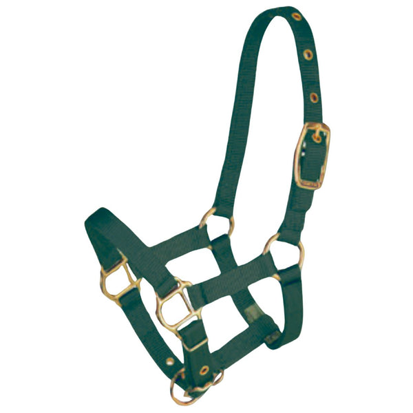 Hamilton Miniature Weanling Halter, Dark Green