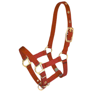 Hamilton Pony Halter, Red