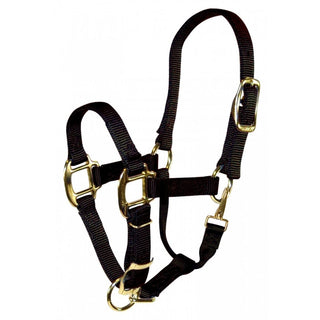 Hamilton Adjustable Weanling Halter with Throat Snap, Black