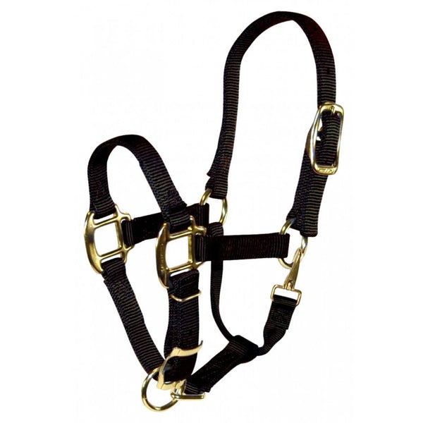 Hamilton Adjustable Weanling Halter with Throat Snap, Black