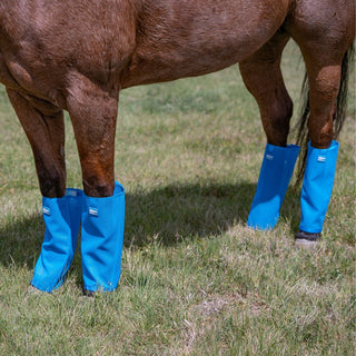 Cashel Crusader Fly Leg Guards, Blue, Horse Size, 4 Pack