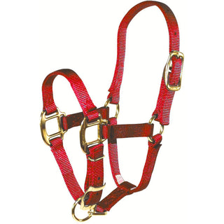 Hamilton Adjustable Foal Halter, Red