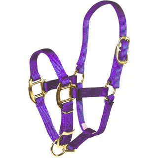 Hamilton Adjustable Foal Halter, Purple