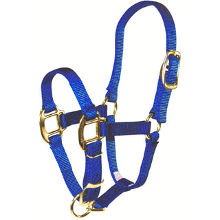 Hamilton Adjustable Pony or Donkey Halter, Blue