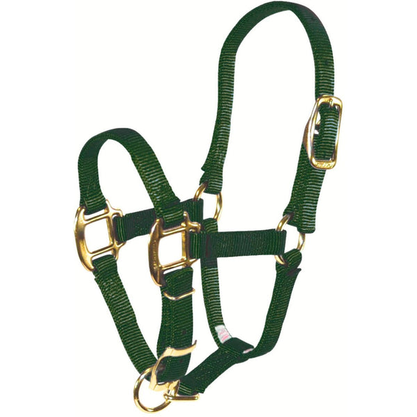 Hamilton Adjustable Foal Halter, Hunter Green