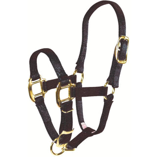 Hamilton Adjustable Foal Halter, Black