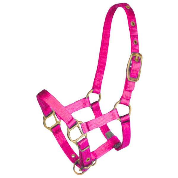 Hamilton Miniature Foal Halter, Hot Pink