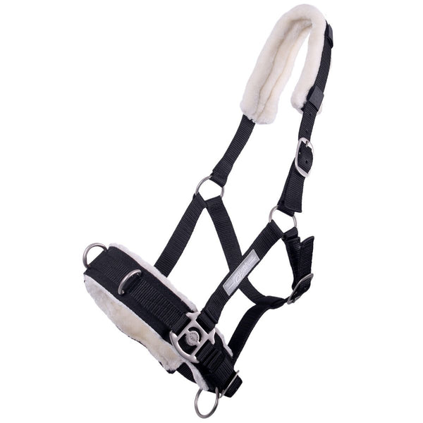 QHP Nylon Lunging Cavesson, Black, Full Size