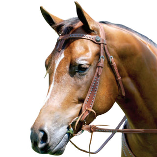 Sierra Spotted Harness Leather Futurity Headstall, Dark Oil