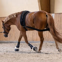 Waldhausen Body Bandage