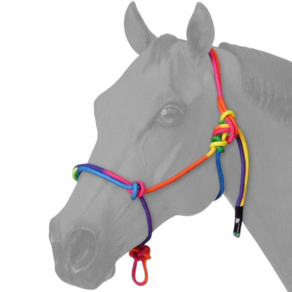 Multi-Coloured Miniature Rope Halter, Miniature Large