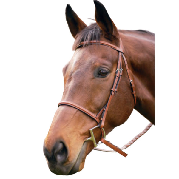 HDR Advantage Plain Raised Bridle, Oakbark, Pony