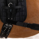 Waldhausen Body Bandage