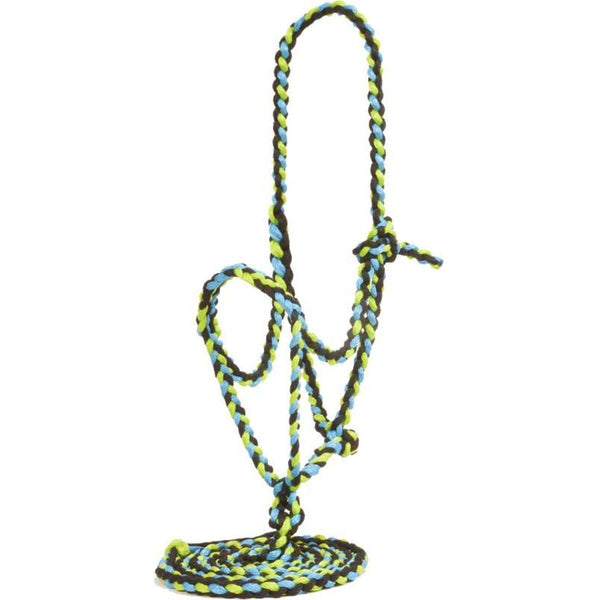 Flat Braided Halter, Blue/Lime