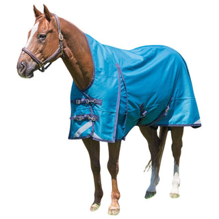 Canadian Horsewear Atlantis 300gm Winter Turnout