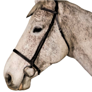 Chetak Snaffle Bridle, Black, Oversize