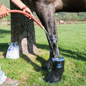 Easyboot Remedy, Medium