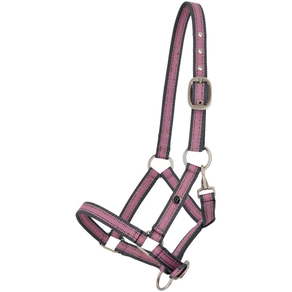 QHP Nylon Shetty Foal Halter, Cherry Pink
