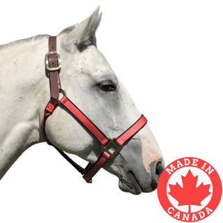 Burwash Ultimate Break Away Small Horse Halter, Red