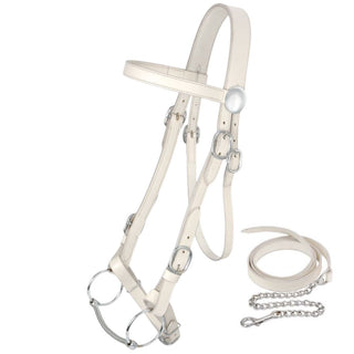 King Draft Horse Show Halter with Lead
