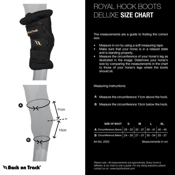 Back on Track Royal Hock Boots, Navy