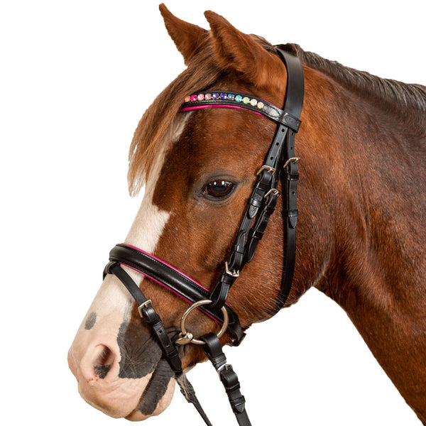 Star Pinky Bridle, Black/Pink, Minishetty