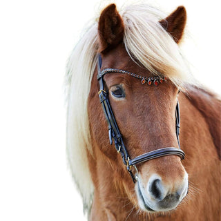 Waldhausen Icelandic Ice Crystal Bridle, Brown/Brass