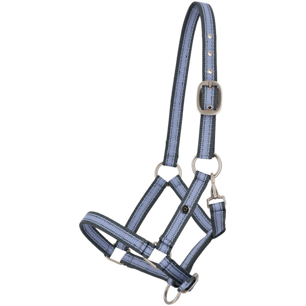 QHP Nylon Miniature Pony Halter, Misty Blue