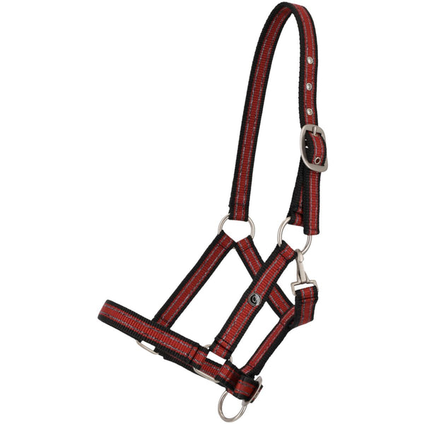 QHP Nylon Pony Foal Halter, Sunset Red