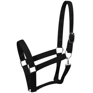 Draft Horse Halter, Black