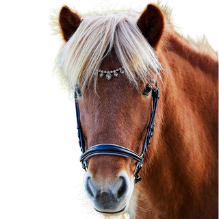 Waldhausen Icelandic Ice Crystal Bridle, Black/Silver