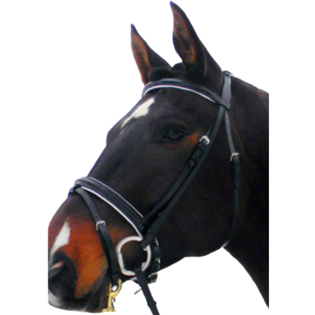 English Bridles | Saddles Canada