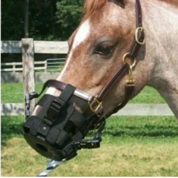 Best Friend Clip-On Grazing Muzzle