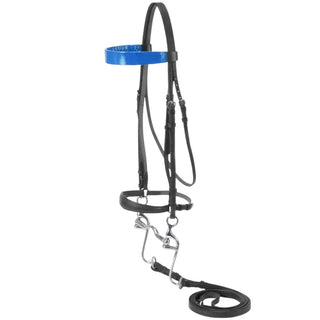 Silver Fox Walking Horse Bridle, Black/Blue