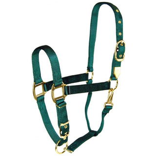Hamilton Deluxe Adjustable Large Horse Halter with Throat Snap, Hunter Green