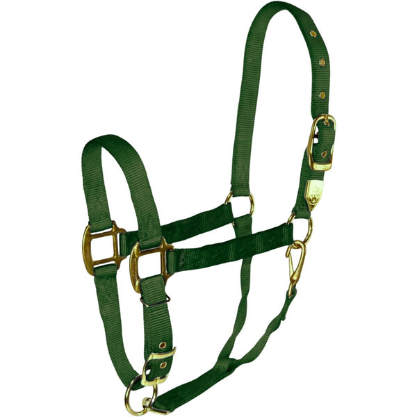 Hamilton Adjustable Average Horse Halter with Throat Snap, Hunter Green