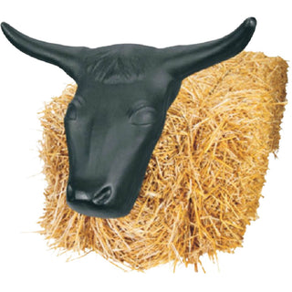 Large Roping Steer Head
