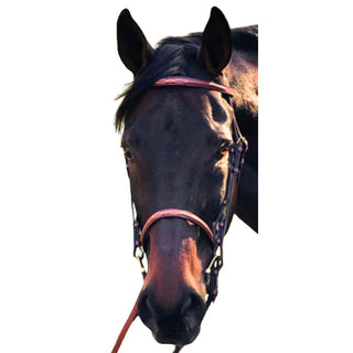 HDR Raised Fancy Stitched Bridle, Oakbark, Full
