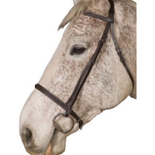 Chetak Snaffle Bridle, Havana, Full