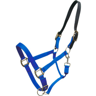 Breakaway Pony Halter, Royal Blue