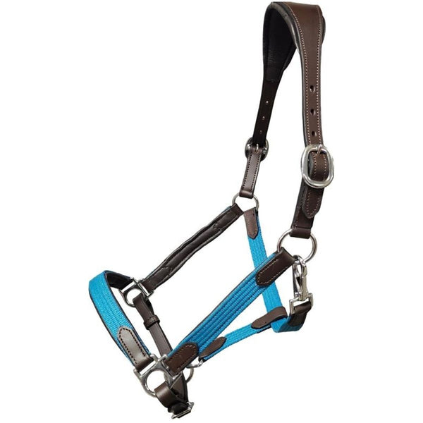 Griffith Hybrid Horse Halter, Turquoise