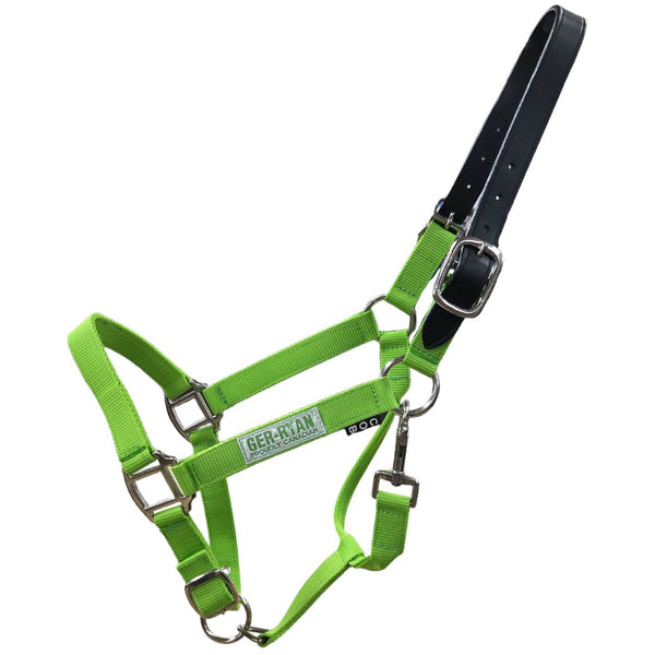 Breakaway Cob Halter, Lime